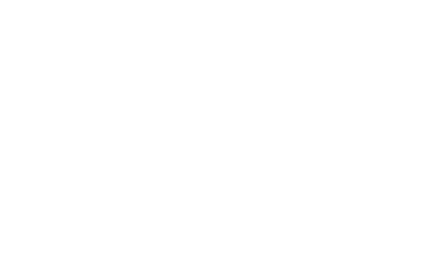The Jenkins Organization
